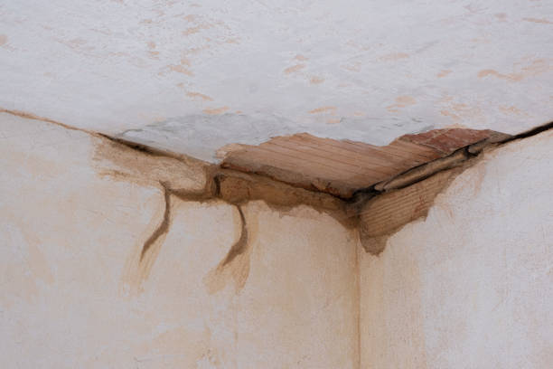 Water damage restoration mold remediation in Farmers Loop, AK
