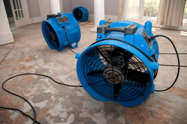 Water damage restoration insurance claims in Farmers Loop, AK